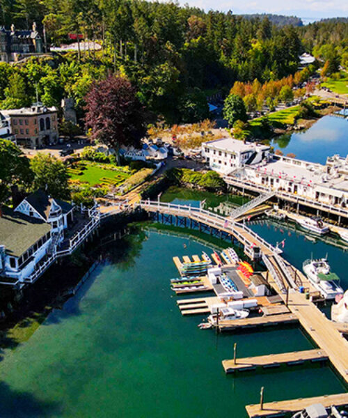 Aerial view of Roche Harbor.